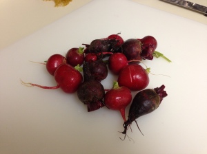 Pretty little radishes and beets